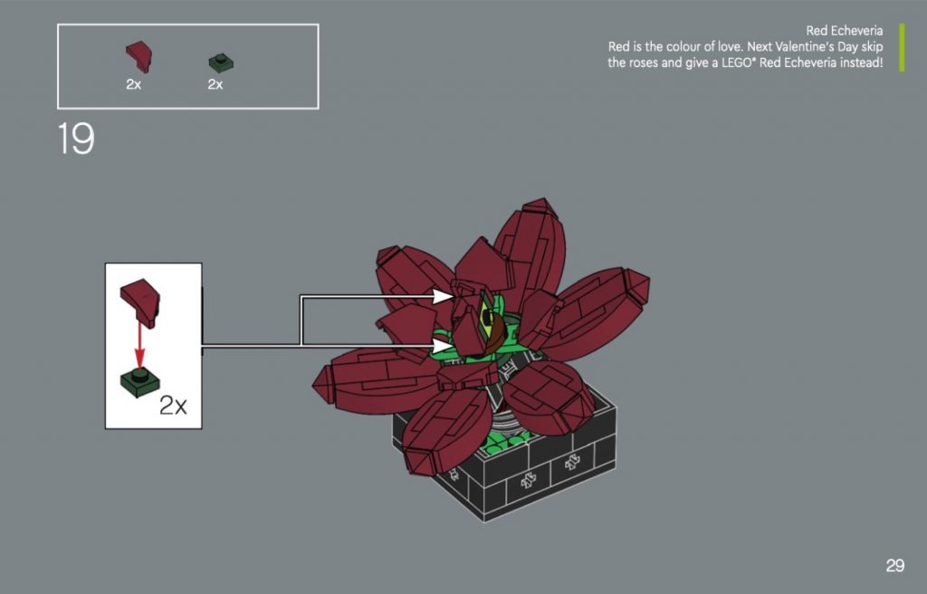 樂高 10311 LEGO 蘭花 說明書 翻譯 中文